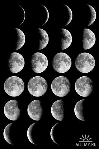 Луна в разных фазах