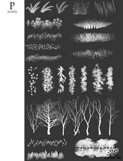 Brushes set by tanathe-d5rrzrl | Большой Набор кистей - кружево, птицы, звезды, травы, деревья, листья, вода, песок, текстуры