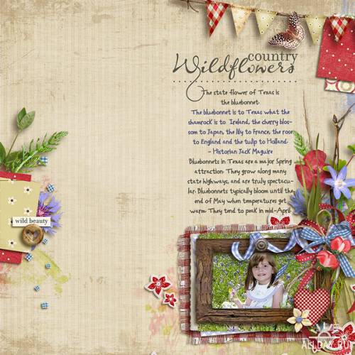 Scrap kit  Country Wildflowers
