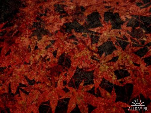 Текстуры - Осенняя пора