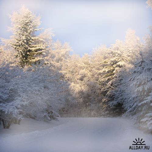 Winter backgrounds 2 | Фоны - зима и снег 2