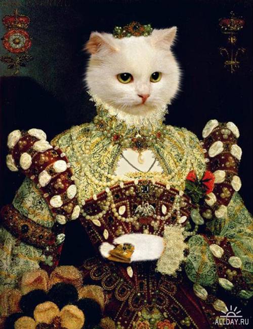Ольга Студицкая - Cats Collage
