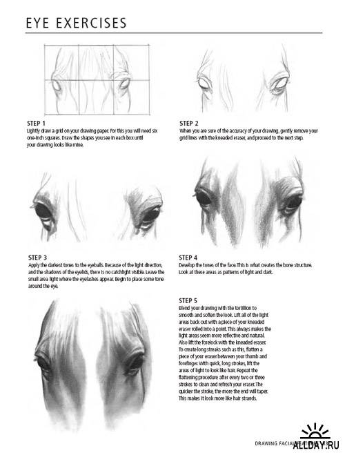 Draw Horses (Discover Drawing Series)
