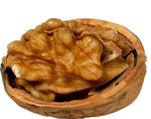 Орехи: Грецкий орех (подборка изображений)