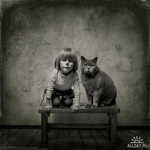 Фотосессия девочки и кота Тома, художник Andy Prokh