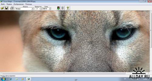 Focus Magic 4.00  for Adobe Photoshop (Английский + Русский)