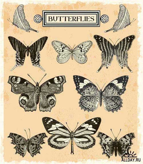 Винтажный бабочки | Vintage butterflies