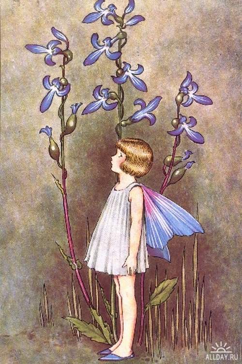 Классика детской иллюстрации - Австралийский иллюстратор Ida Rentoul Outhwaite (1888 - 1960)