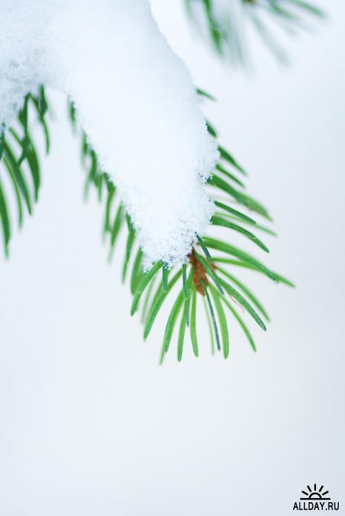 Zen Shui - Winter Nature