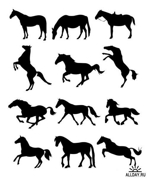 Силуэты животных | Animal silhouettes in vector from stock - 25 Eps
