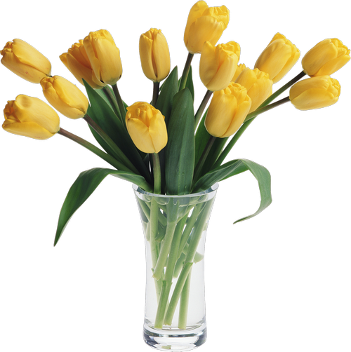 Tulips Vases Тюльпаны в вазах png