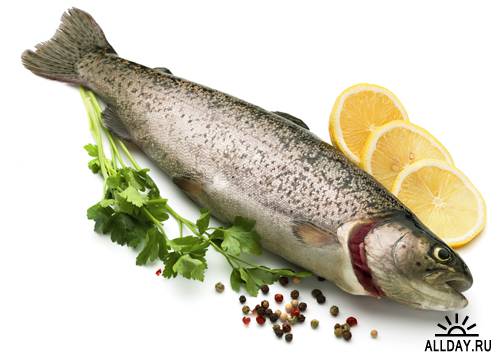 Meat & Fish - UHQ Stock Photo | Мясо и рыба