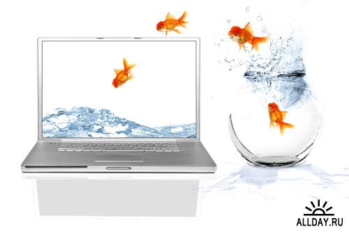 Stock photo: Jumping goldfishes