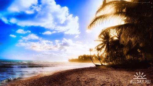 Bright Tropical Wallpapers