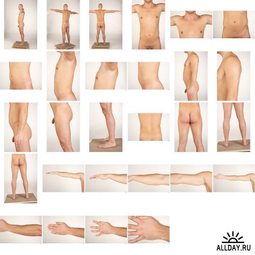 Beautiful anatomy (3d Modeling Image References). part 19