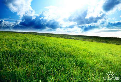 Green field | Поля и луга - Высококачественный растровый клипарт. Photostock