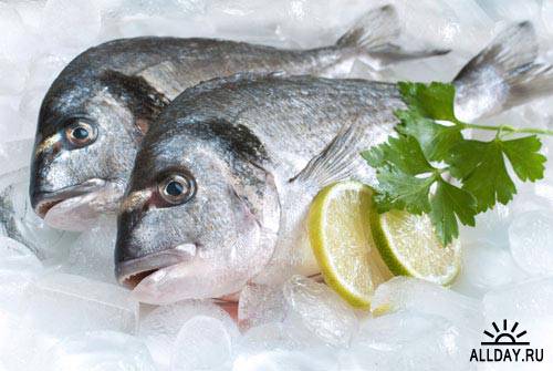 Рыба и морепродукты 2 | Fish and seafood 2