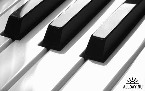 Musical keyboard instruments | Музыкальные клавишные инструменты