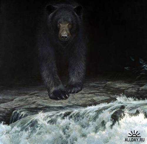 Роберт Бейтман - канадский художник и натуралист.