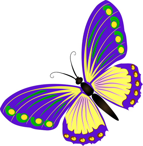 Beauty Butterflies Прекрасные бабочки png