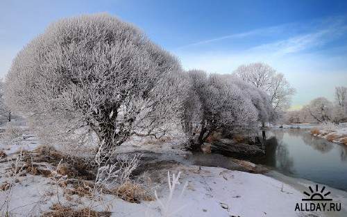 Подборка фото красивой зимней природы 13