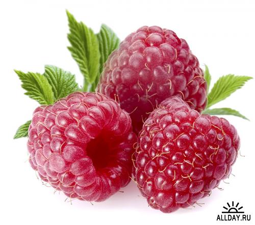 Stock Photo - Fruits | Фрукты, ягоды