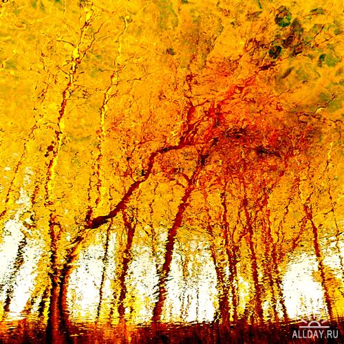 Denis Collette - Autumn spirit! Esprit d'automne!