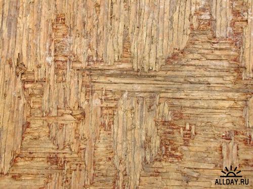 Wood Texture | Текстуры дерева