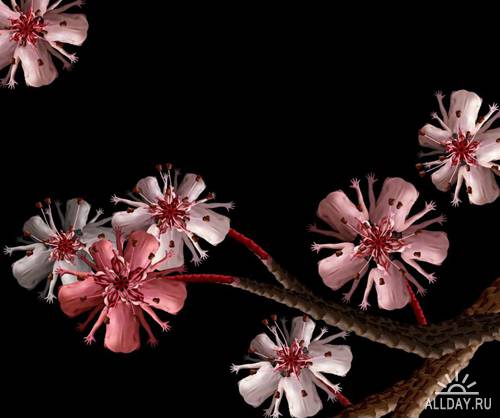 Необычные цветы Cecelia Webber