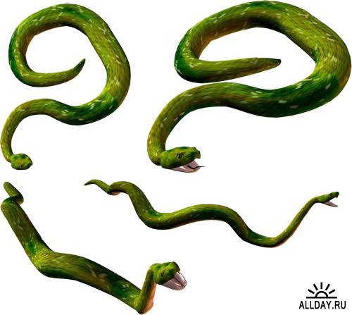 Snake - symbol 2013 | Змея - символ 2013 года