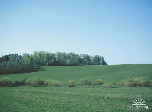 Природа: поля и луга (подборка изображений)