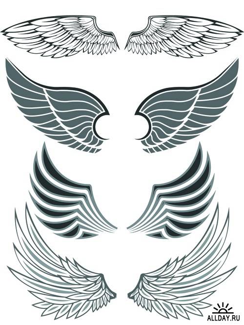 Wings Vector | Крылья