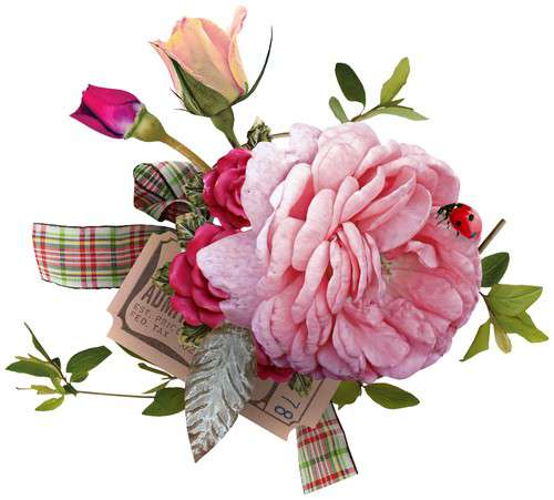Розовые розы - рамки и кластеры с розами