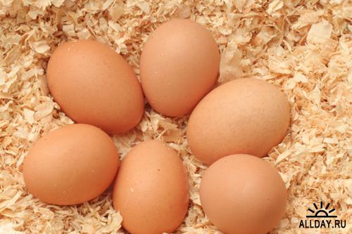 Eggs - Куринные яйца