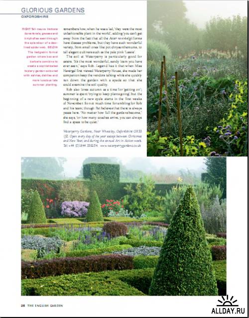 The English Garden №9 (September 2011)