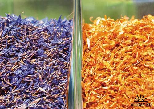 Photostock - Herbs & Spices
