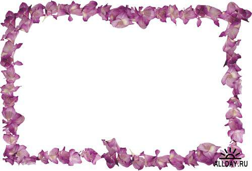 Floral Frame - cutouts 7 | Рамки - вырезы с цветами и листьями 7