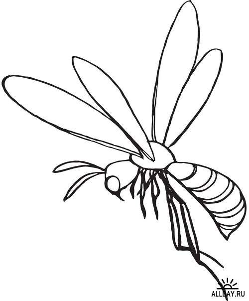 Insects invertebrates - Butterflies and beetles graphics | Насекомые и беспозвоночные - бабочки и жуки  - Набор графических элементов дизайна для колл