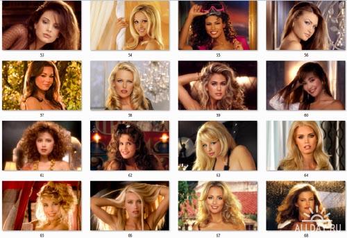 Playmates Faces Wallpapers