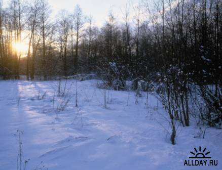 60 фотоизображений зимней природы