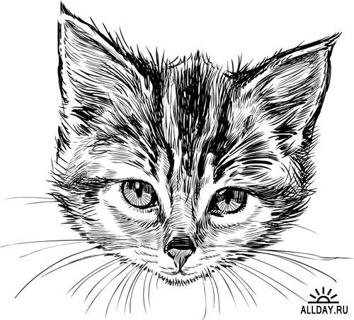 Чудесные котята #7 - Векторный клипарт