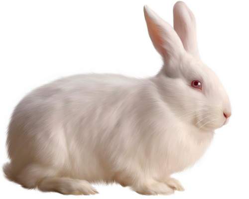 Пасхальный кролик - клипарт на прозрачном фоне