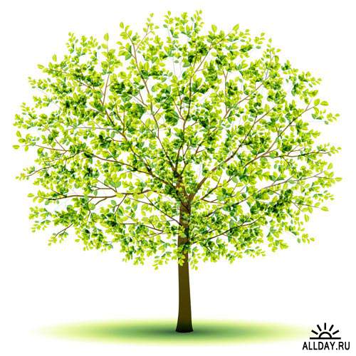 Зеленое дерево. Вып.6 | Green tree. Set.6