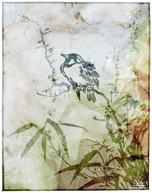 Japanese Woodcut Engravings of Birds