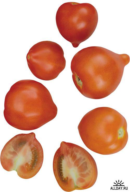 Vegetable - tomatoes - love apple 5 | Овощи - помидоры 5
