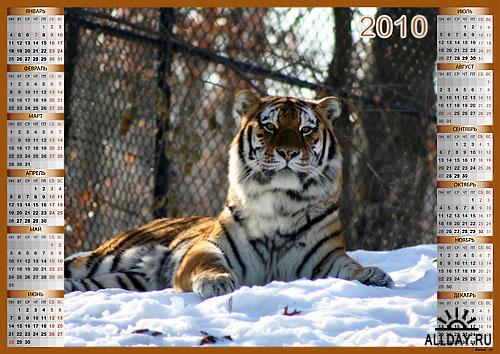 Календари на 2010 год с тиграми