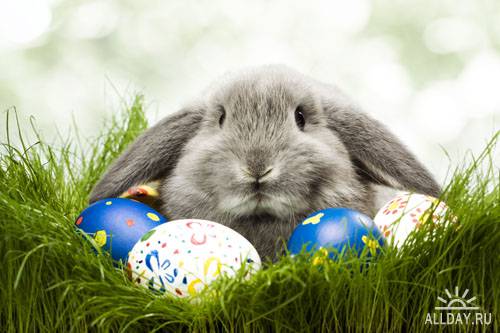 Stock Photo: Rabbit and Easter egg | Кролик и пасхальное яйцо