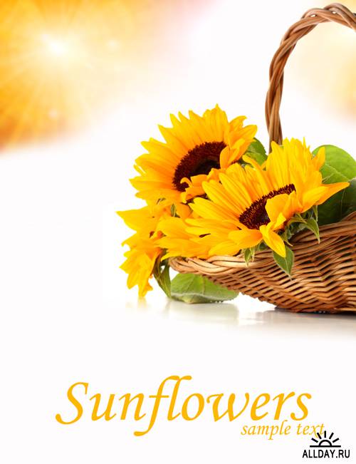 Card with sunflowers