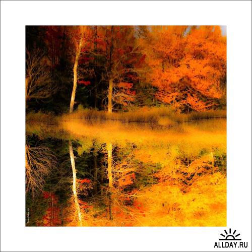 Denis Collette - Autumn spirit! Esprit d'automne!