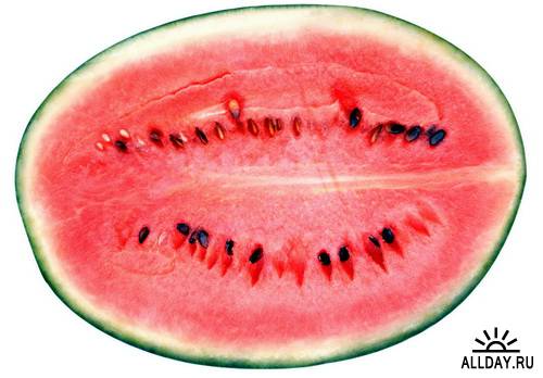 Fruits: watermelon | Фрукты: арбуз